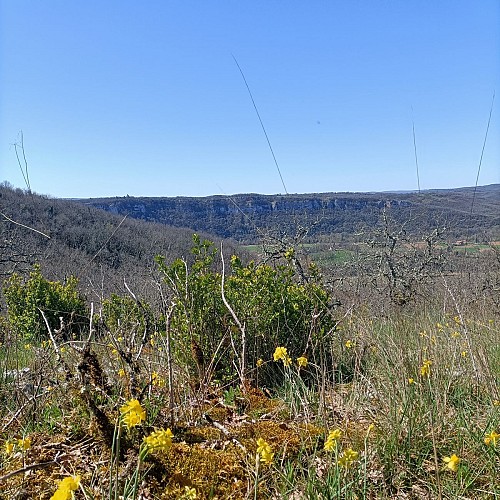 Vue sur le Saut de la Mounine