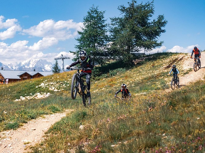 Woodstock - Downhill