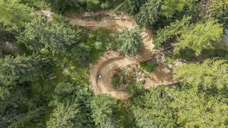 Woodstock - Downhill