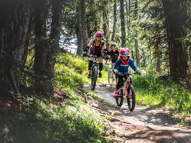 Woodstock - Downhill