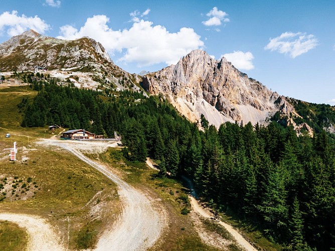 Woodstock - Downhill