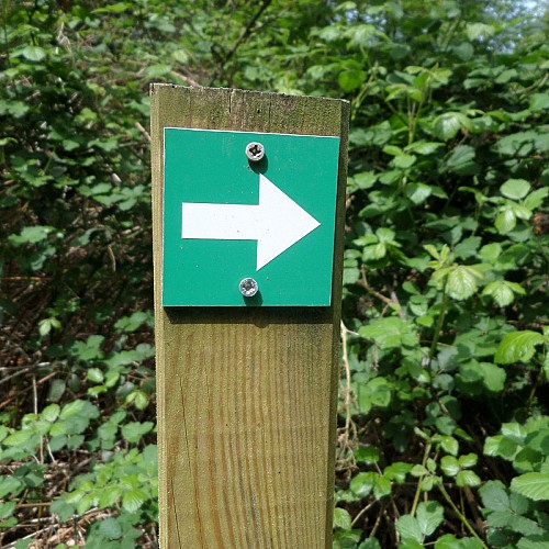 Green trail marker