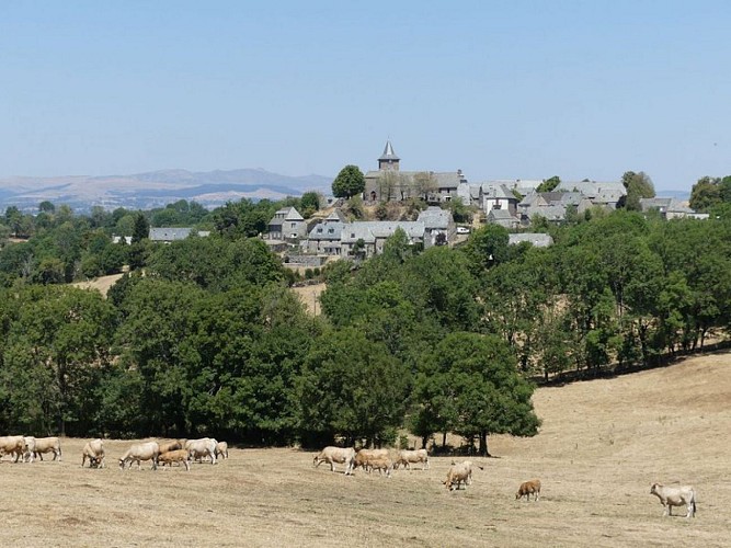 Hameau de Vines et vue sur le Plomb du Cantal