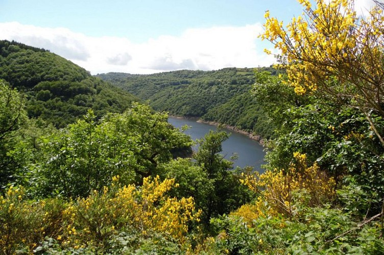 Le long des berges de Sarrans