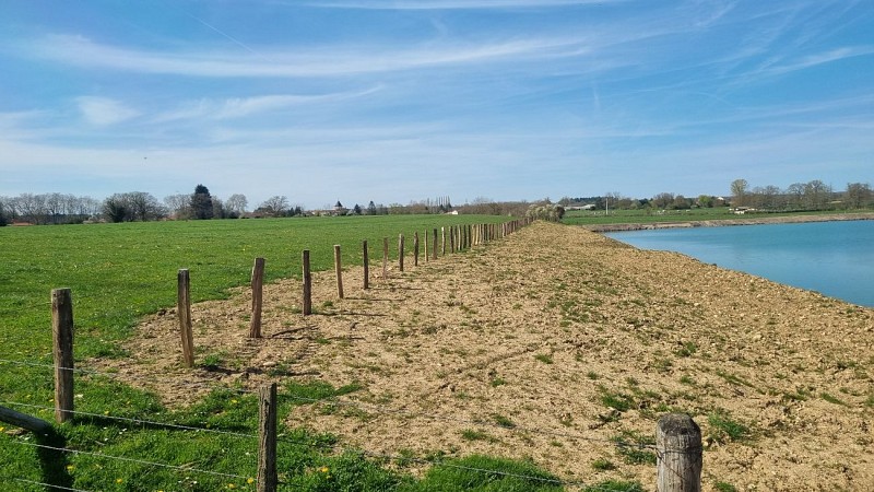 Balade - Certines et le château de Genoud