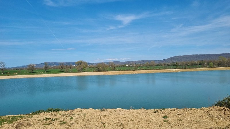 Balade - Certines et le château de Genoud