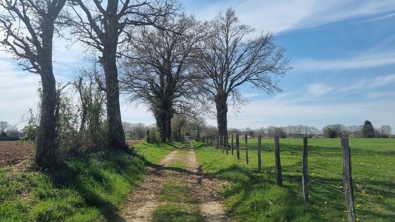 Balade - Certines et le château de Genoud