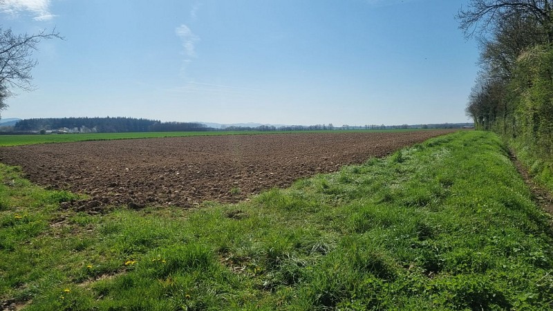 Randonnée - Tour de Certines et du château de Genoud_Certines