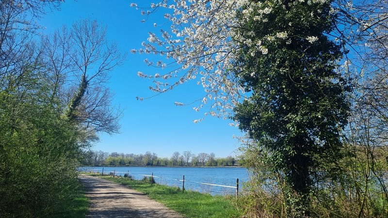 Randonnée - Servas et les étangs de la Carronnière_Servas