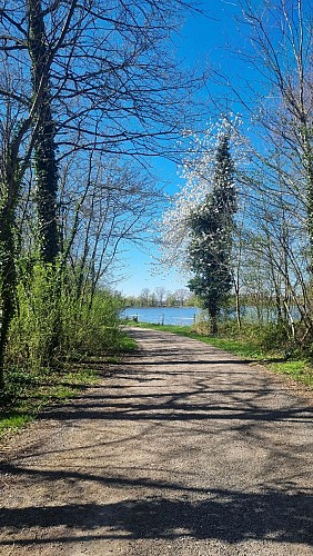 Randonnée - Servas et les étangs de la Carronnière_Servas