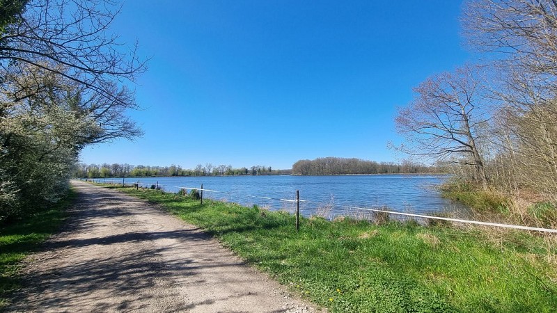 Randonnée - Servas et les étangs de la Carronnière_Servas