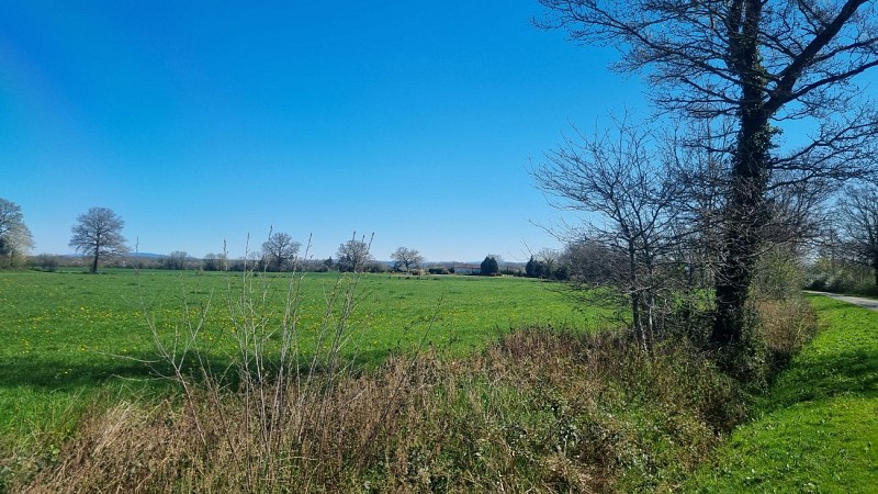 Randonnée - Servas et les étangs de la Carronnière_Servas