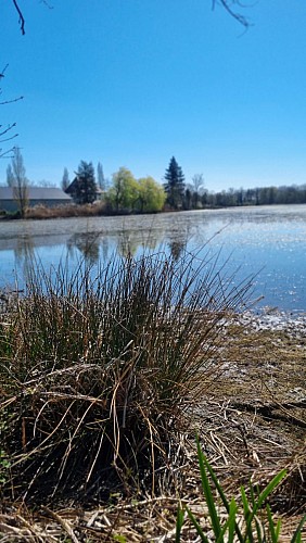 Randonnée - Servas et les étangs de la Carronnière_Servas