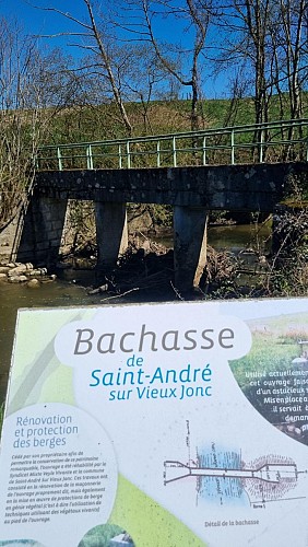 Balade  - Domaine de Cuiset et le Vieux Jonc_Saint-André-sur-Vieux-Jonc