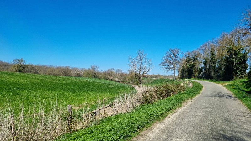 Balade  - Domaine de Cuiset et le Vieux Jonc_Saint-André-sur-Vieux-Jonc