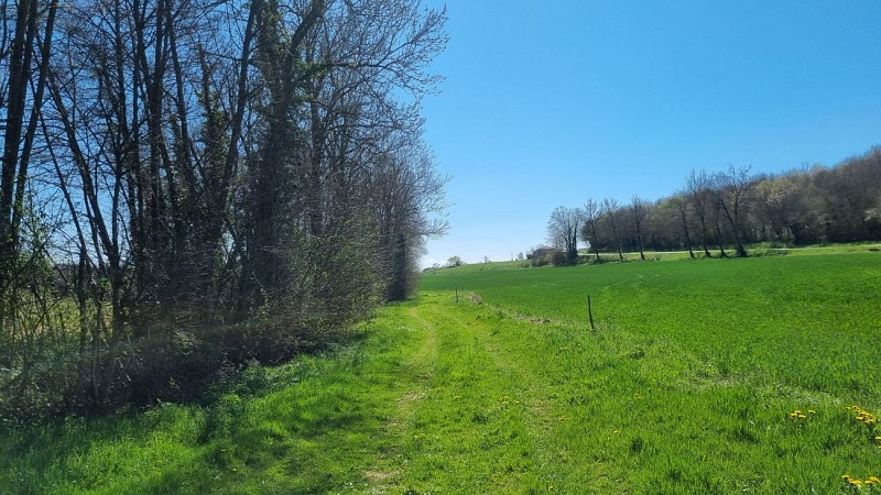 Balade  - Domaine de Cuiset et le Vieux Jonc_Saint-André-sur-Vieux-Jonc