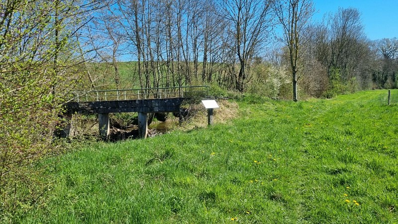 Balade  - Domaine de Cuiset et le Vieux Jonc_Saint-André-sur-Vieux-Jonc