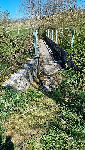 Balade  - Domaine de Cuiset et le Vieux Jonc_Saint-André-sur-Vieux-Jonc