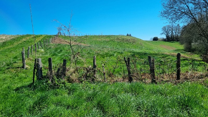 Balade  - Domaine de Cuiset et le Vieux Jonc_Saint-André-sur-Vieux-Jonc