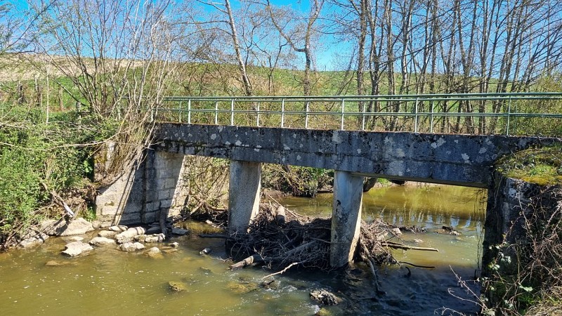Balade  - Domaine de Cuiset et le Vieux Jonc_Saint-André-sur-Vieux-Jonc