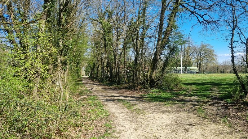 Balade  - Domaine de Cuiset et le Vieux Jonc_Saint-André-sur-Vieux-Jonc