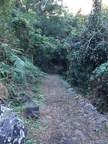De AurÃ¨re Ã  Marla, par le sentier Augustave