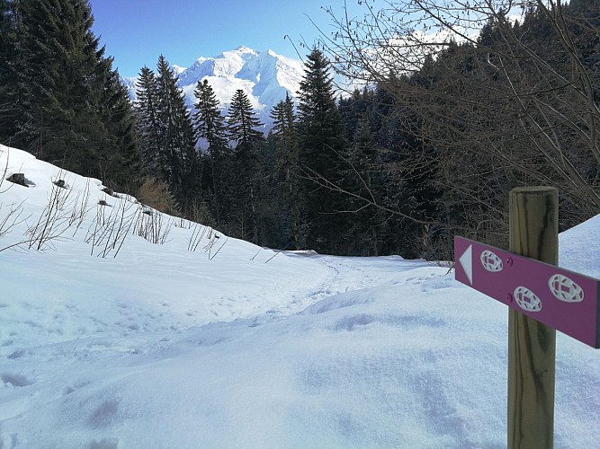 Boucle des Sions - sentier raquettes_Cordon