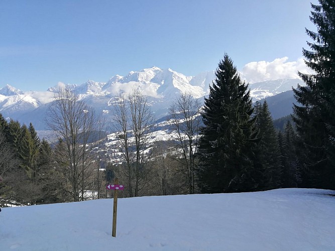 Boucle des Sions - sentier raquettes_Cordon