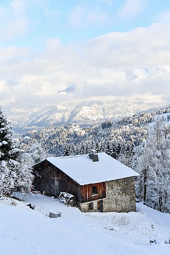 Boucle des Charnes - sentier raquettes_Cordon
