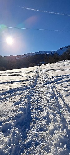Boucle de Dandry - sentier raquettes_Cordon