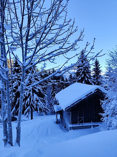 Boucle de Cornillon - sentier raquettes_Cordon