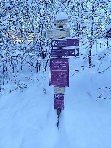 Boucle des Plaines - sentier raquettes_Cordon