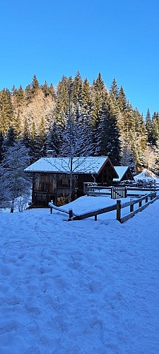 Boucle des Granges - sentier raquettes_Cordon