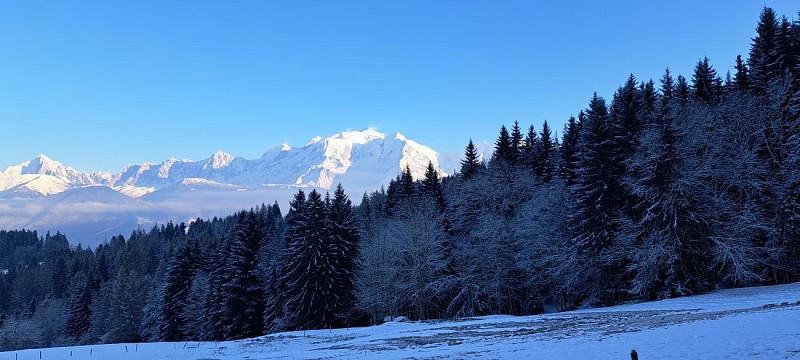 Boucle des Granges - sentier raquettes_Cordon