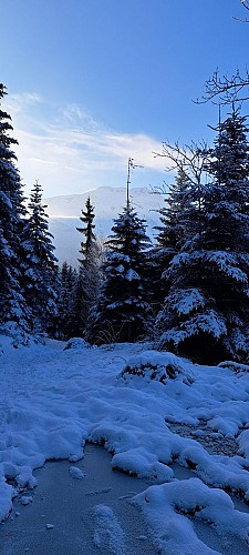 Boucle des Montavus depuis Cordon - sentier raquettes_Cordon