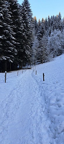 Boucle des Montavus depuis Cordon - sentier raquettes_Cordon