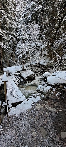 Boucle des Montavus depuis Cordon - sentier raquettes_Cordon