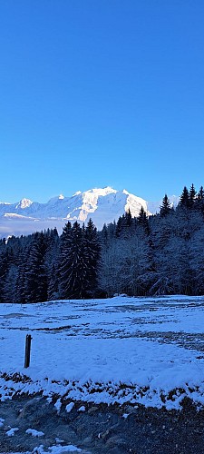 Boucle des Montavus depuis Cordon - sentier raquettes_Cordon