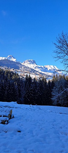 Boucle des Montavus depuis Cordon - sentier raquettes_Cordon