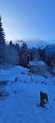 Boucle des Montavus depuis Cordon - sentier raquettes_Cordon