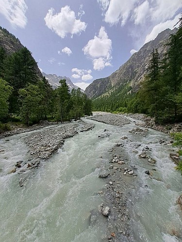 Torrent de Celse Nière
