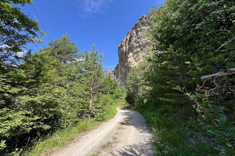 RANDOLAND : Les Vigneaux