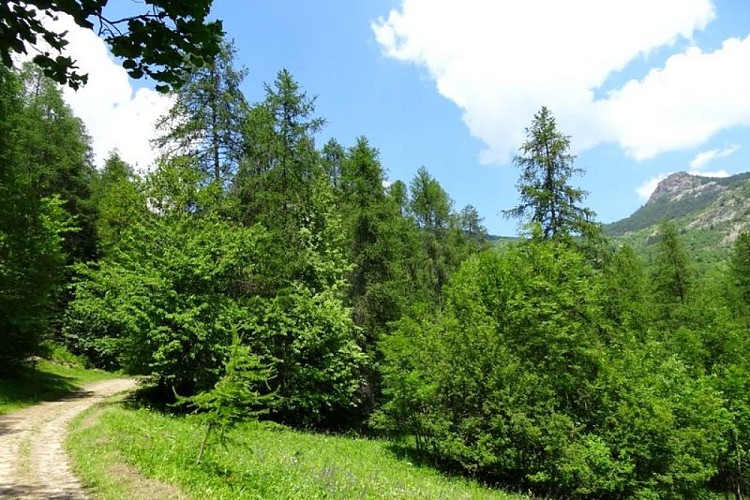 Sur le sentier de Monsieur Alfred