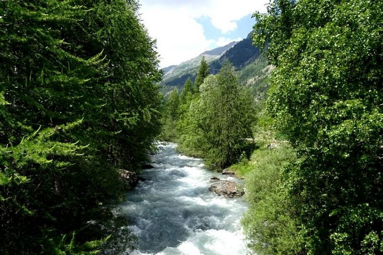 Sentier de Monsieur Alfred