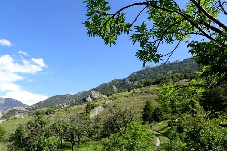Le long du canal de Serre-Duc