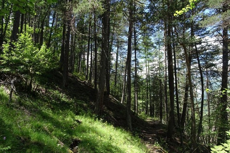 Le sentier du Cloutas