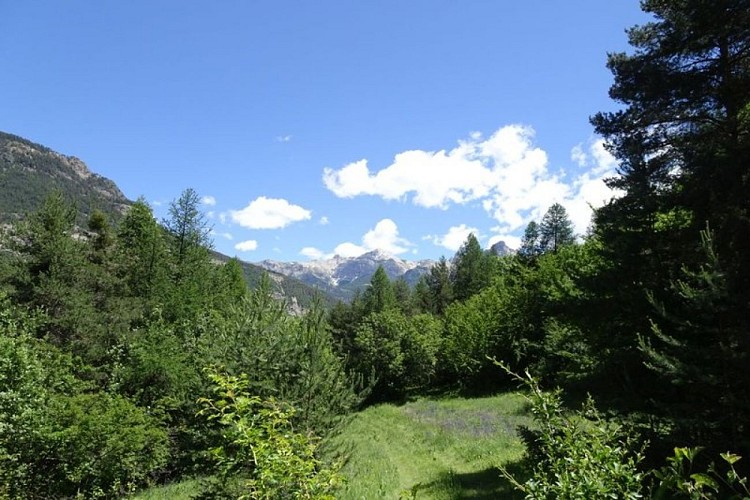 Le sentier du Cloutas