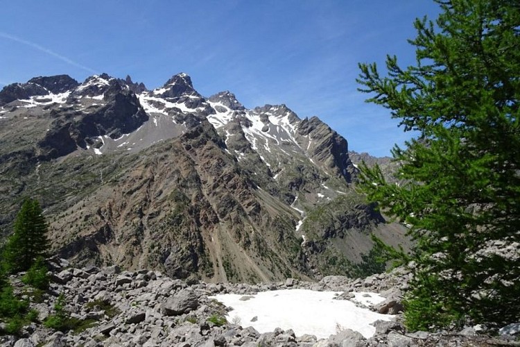 Sur les traces des bergers