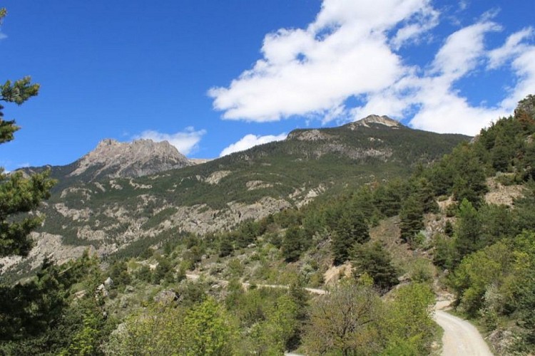 Chemin menant au Lauzet