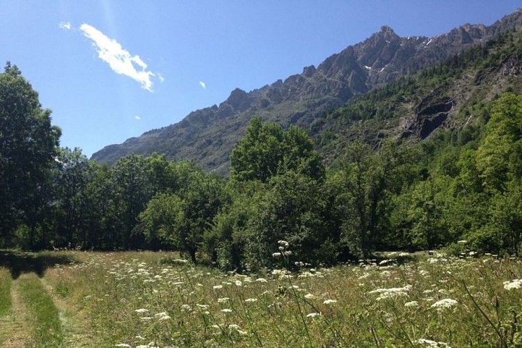 Chemin au bord de l'Onde